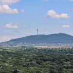 Avala Mountain - Aerial View of a Forest and the Avala Mountain in Belgrade, Serbia