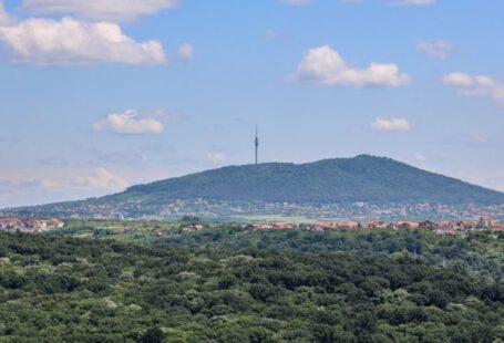 Avala Mountain - Aerial View of a Forest and the Avala Mountain in Belgrade, Serbia
